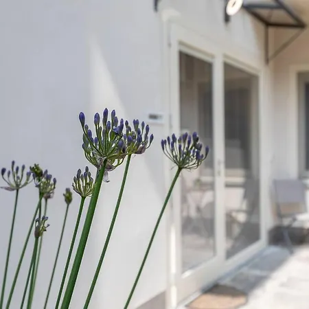 Maggiore Acqua House Wi-fi Netflix Apartment Colazza